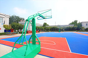 ѧУ�Ļ�����