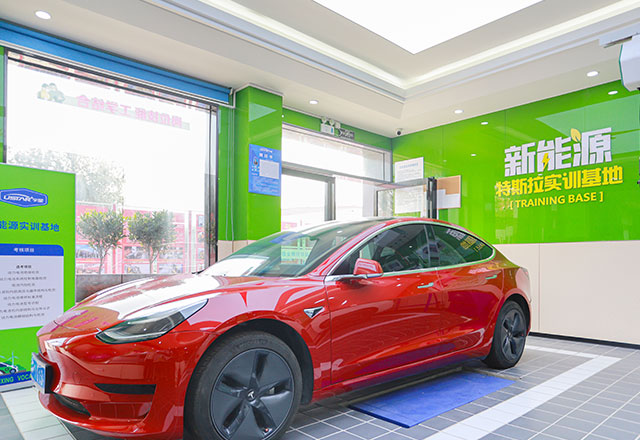 ��˹�����綯����